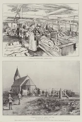 Der Krieg in Transvaal